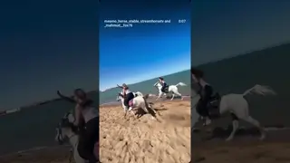Horse 🐴 riding in Hurghada