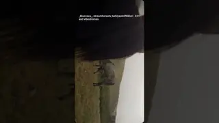Video of my inner peace 🪽