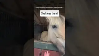 Farm Fresh 🫛 This surprised us! Ozzy & Sunny are not ones to pass up a treat!