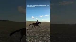 never stop 🏇 keep going