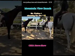 🐴🏅 Horse Show Fun 🏅🐴 We had a Blast at the Chino Hills Horsemen’s Association (CHHA) Horse Show! 🐴