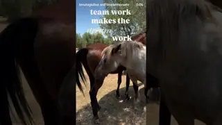 🔄 perpetual cycle of scratches🤣