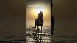 Sea, horses, and a heart that chose its freedom. 🌊🐎🤍