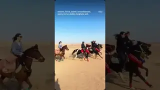 Wow! Look at this horse it flies like the wind 🌬️🔥