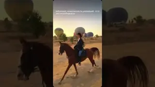 #Cappadocia at sunrise is always a good idea. 🐎🎈