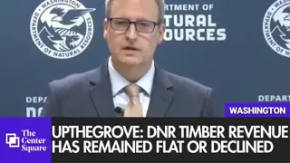 Upthegrove: DNR Timber Revenue Has Remained Flat or Declined