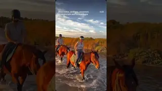 🐴✨ Experience the magic of a horseback ride in nature!