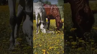 it’s just a farm…