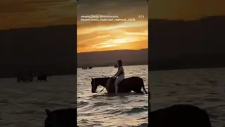 Sunset 🌅 swimming with a horse 🐴 amazing 🤩