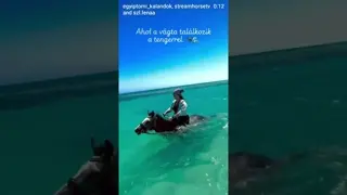 🐎 She was cutting it on the beach 🌊 An experience that cannot be described - it must be lived. ✨
