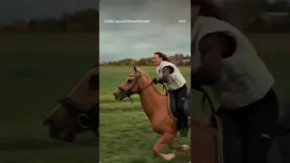 experience the horsepower 🏇