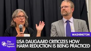 Lisa Daugaard Says Harm Reduction Has Been Oversimplified