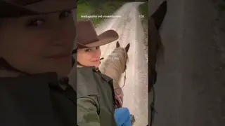 🏇 Questo.Tutto il giorno.Tutti i giorni. 🏇