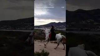 Chased this beautiful sunset on this stunning and strong horse Sadam from @equitation_nador 🦄👌✨️