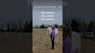 Support the nervous system, and you support the whole horse. 💜