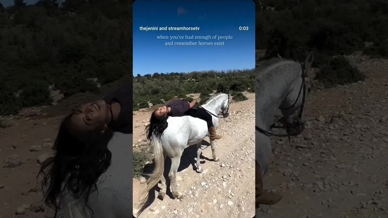 remembering that horses are greater than humans will always be the reset.