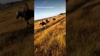 Horses lend us the wings we lack 🐎✨️