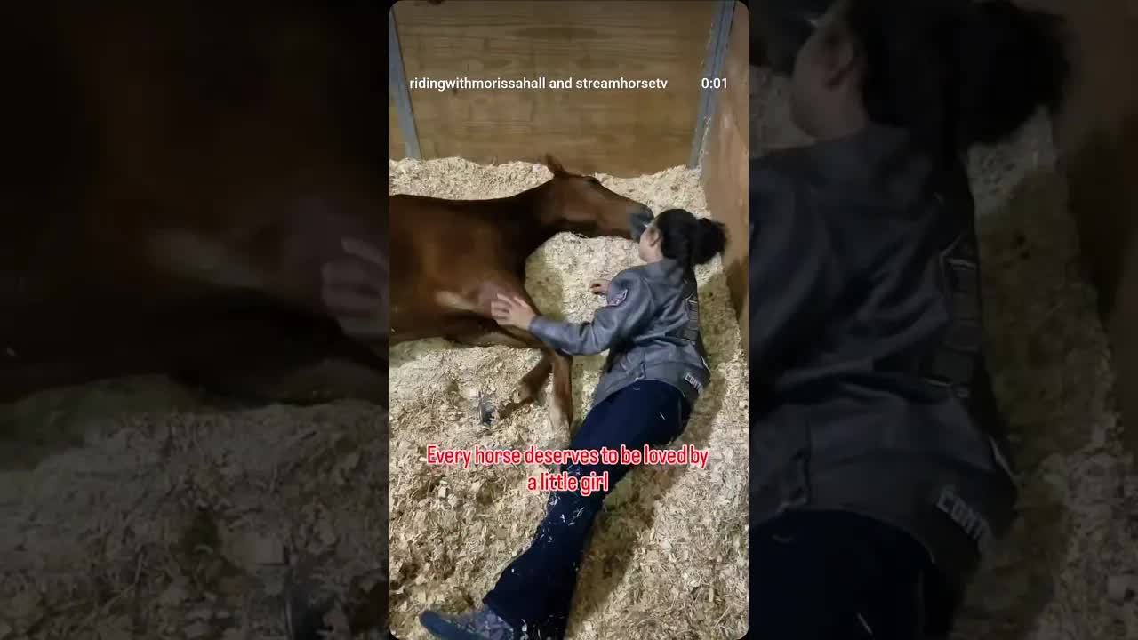 Horses are special. We love them all.