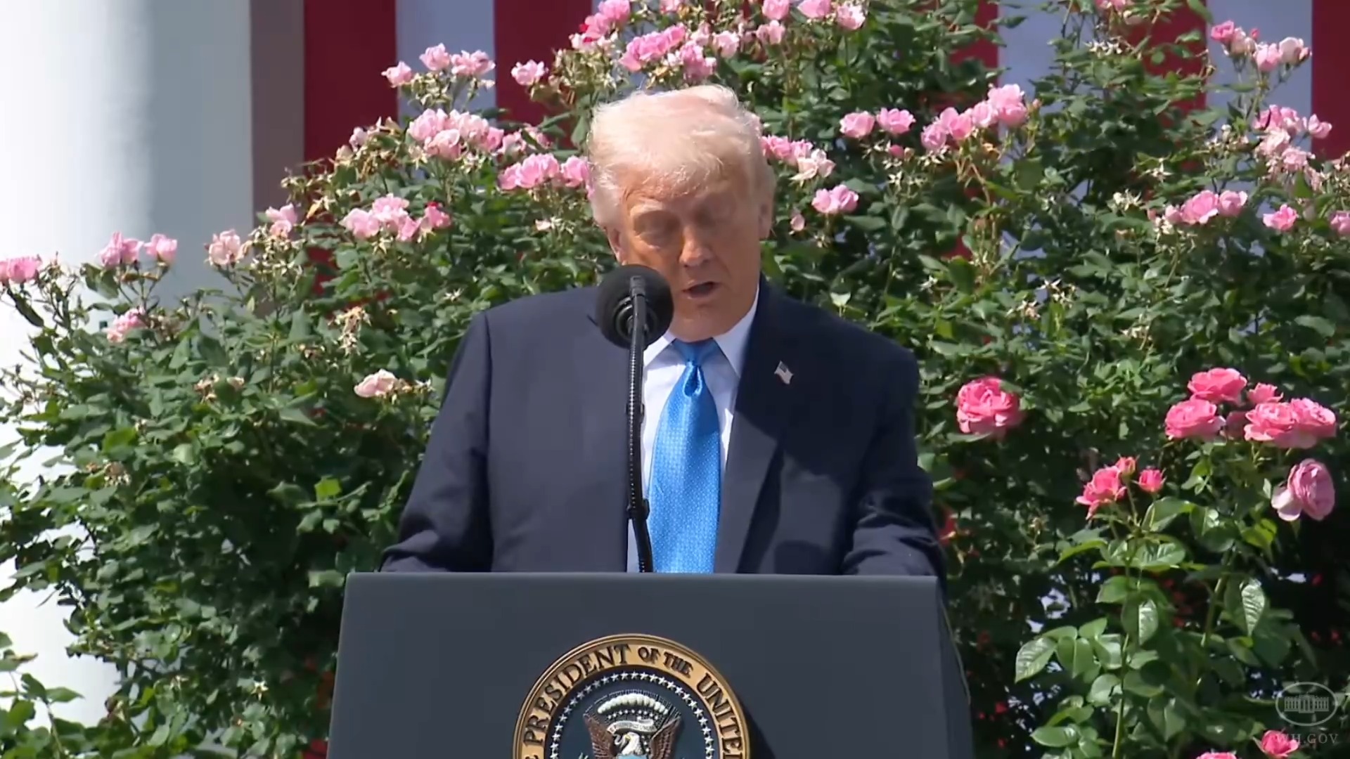The White House - President Trump: “We will not tolerate online sexual exploitation”