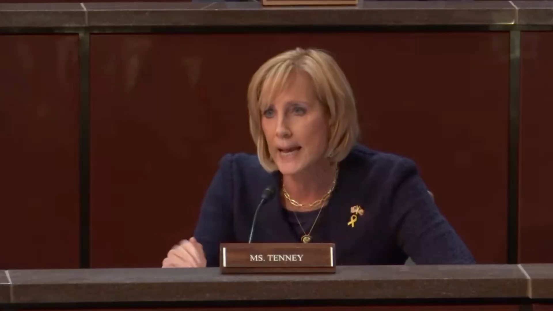 House Oversight - Rep. Tenney (R-NY): “Illegal immigrants that are putting not only other inmates at risk but also our corrections officers”  