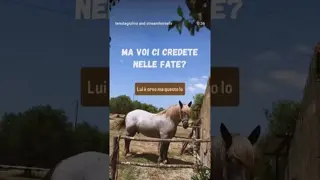 I parte della giornata in spa di Orso 🧸🧚🏻‍♀️