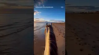 Sunrise rides along the Moroccan coast, just you, your horse, and the sound of waves.  🌊🐎🌅