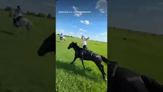 feel the freedom & horsepower