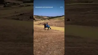 Send this to someone who needs a reset. 😌🐎🏞