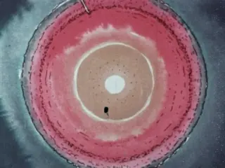 How To Dig A Hole To The Other Side Of The World (1980)