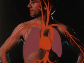 Human Body: Respiratory System (2nd Ed, 1980)