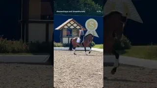 Sometimes you take a step back but appreciate the new coming with Lucky training for Grand Prix 🐎