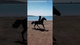 Come fly with us! 🐎🌊
