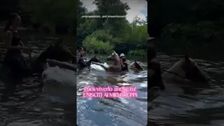 HAI MAI NUOTATO CON UN CAVALLO? 🐎💦 Non è un sogno... è realtà. ✨