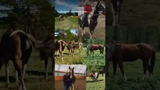 Anyone else use 99% of their phone storage for pony pics? 🙋🏼‍♀️