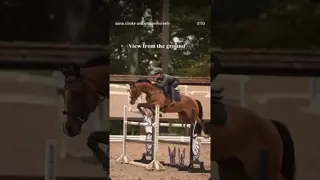 Gary jumping like a 🌟