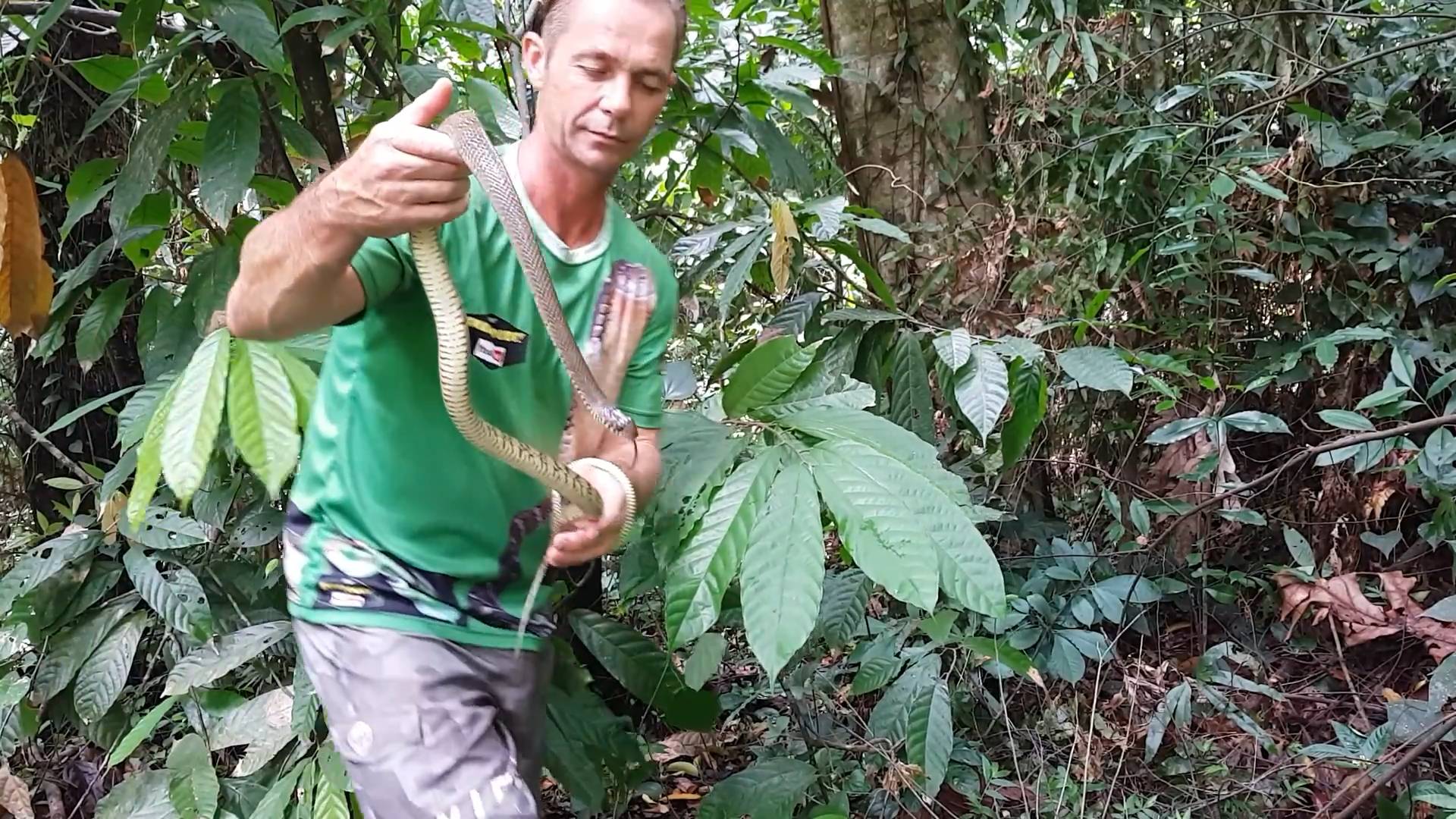 Snake wilderness