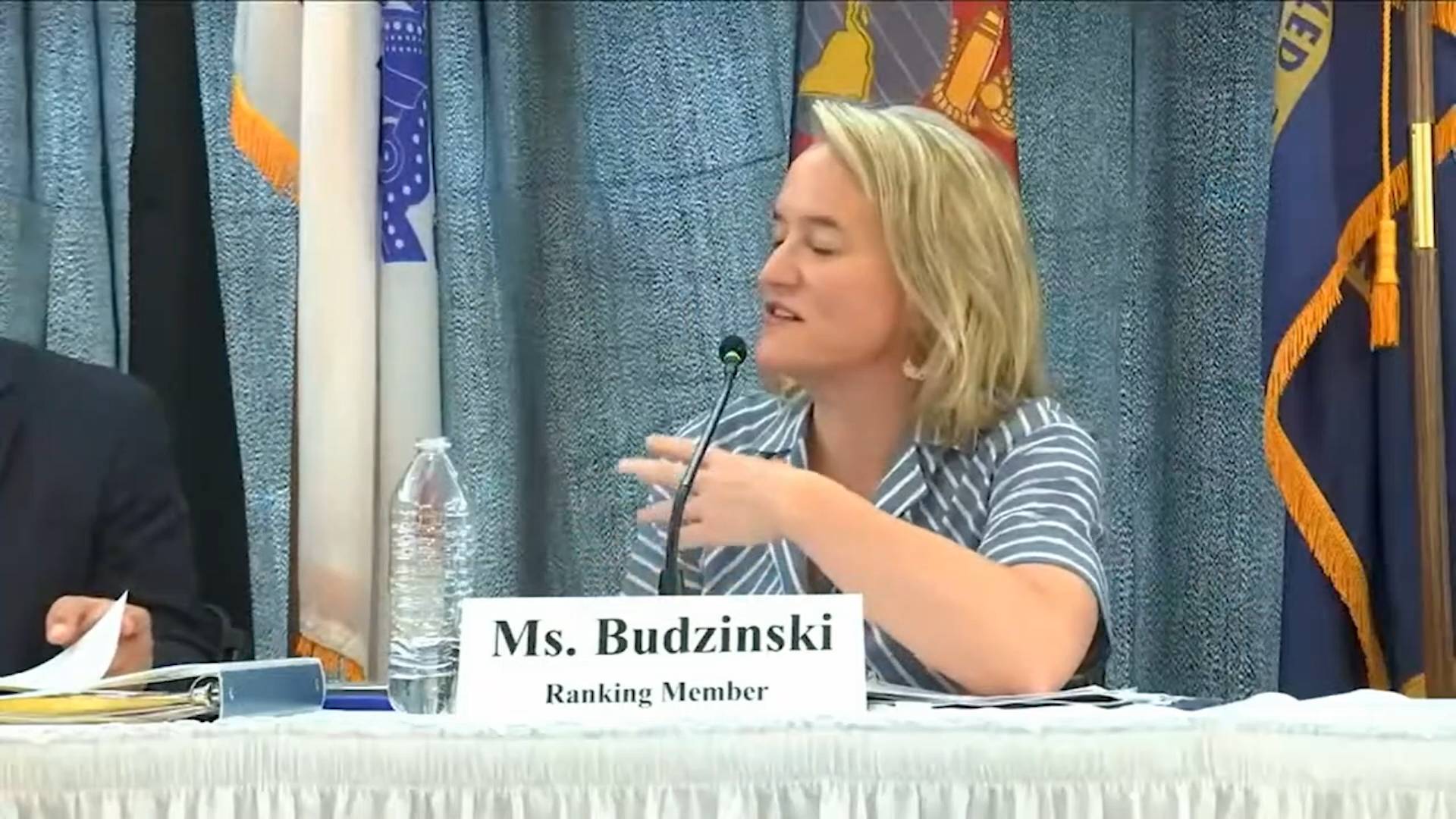House Veterans Affairs - Rep. Budzinski (D-IL) asks about addressing stigmas in reaching veterans who need mental healthcare