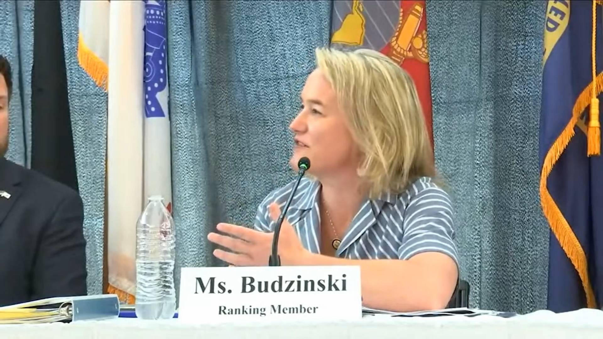 House Veterans Affairs - Rep. Budzinski (D-IL) asks about gaps in rural veteran healthcare